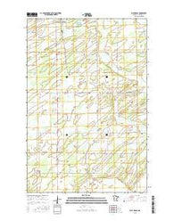 Blue Grass Minnesota Current topographic map, 1:24000 scale, 7.5 X 7.5 Minute, Year 2016