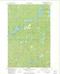 Bogberry Lake Minnesota Historical topographic map, 1:24000 scale, 7.5 X 7.5 Minute, Year 1981