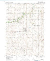 Bricelyn Minnesota Historical topographic map, 1:24000 scale, 7.5 X 7.5 Minute, Year 1982