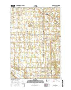 Browerville SW Minnesota Current topographic map, 1:24000 scale, 7.5 X 7.5 Minute, Year 2016
