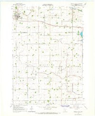 Buffalo Lake Minnesota Historical topographic map, 1:24000 scale, 7.5 X 7.5 Minute, Year 1964