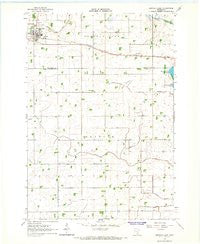 Buffalo Lake Minnesota Historical topographic map, 1:24000 scale, 7.5 X 7.5 Minute, Year 1964