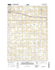 Buffalo Lake Minnesota Current topographic map, 1:24000 scale, 7.5 X 7.5 Minute, Year 2016