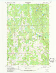 Casino Minnesota Historical topographic map, 1:24000 scale, 7.5 X 7.5 Minute, Year 1966