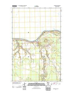 Clementson Minnesota Historical topographic map, 1:24000 scale, 7.5 X 7.5 Minute, Year 2013