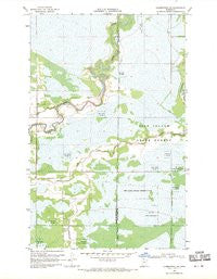 Clementson SW Minnesota Historical topographic map, 1:24000 scale, 7.5 X 7.5 Minute, Year 1968