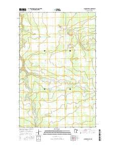 Clementson SE Minnesota Current topographic map, 1:24000 scale, 7.5 X 7.5 Minute, Year 2016