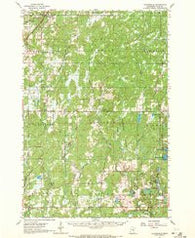 Cloverdale Minnesota Historical topographic map, 1:62500 scale, 15 X 15 Minute, Year 1962