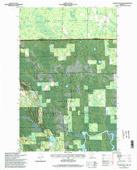 Coddington Lake Minnesota Historical topographic map, 1:24000 scale, 7.5 X 7.5 Minute, Year 1996