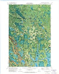 Coddington Lake Minnesota Historical topographic map, 1:24000 scale, 7.5 X 7.5 Minute, Year 1971