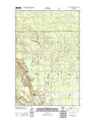 Coddington Lake Minnesota Historical topographic map, 1:24000 scale, 7.5 X 7.5 Minute, Year 2013