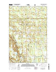 Coddington Lake Minnesota Current topographic map, 1:24000 scale, 7.5 X 7.5 Minute, Year 2016