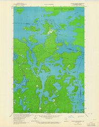Coleman Island Minnesota Historical topographic map, 1:24000 scale, 7.5 X 7.5 Minute, Year 1963