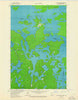 Coleman Island Minnesota Historical topographic map, 1:24000 scale, 7.5 X 7.5 Minute, Year 1963