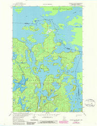 Coleman Island Minnesota Historical topographic map, 1:24000 scale, 7.5 X 7.5 Minute, Year 1963
