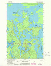 Coleman Island Minnesota Historical topographic map, 1:24000 scale, 7.5 X 7.5 Minute, Year 1963