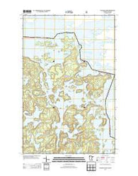 Coleman Island Minnesota Historical topographic map, 1:24000 scale, 7.5 X 7.5 Minute, Year 2013