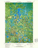 Coon Lake Minnesota Historical topographic map, 1:24000 scale, 7.5 X 7.5 Minute, Year 1970