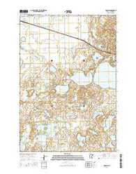 Darwin Minnesota Current topographic map, 1:24000 scale, 7.5 X 7.5 Minute, Year 2016