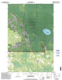 Deer River NE Minnesota Historical topographic map, 1:24000 scale, 7.5 X 7.5 Minute, Year 1996