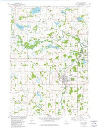 Delano Minnesota Historical topographic map, 1:24000 scale, 7.5 X 7.5 Minute, Year 1981