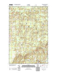 Dewey Lake SE Minnesota Historical topographic map, 1:24000 scale, 7.5 X 7.5 Minute, Year 2013