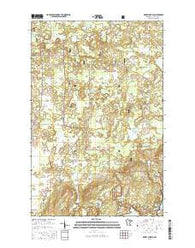 Dewey Lake SE Minnesota Current topographic map, 1:24000 scale, 7.5 X 7.5 Minute, Year 2016