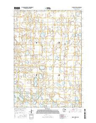 Dismal Swamp Minnesota Current topographic map, 1:24000 scale, 7.5 X 7.5 Minute, Year 2016