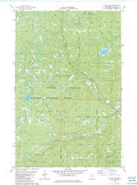 Doyle Lake Minnesota Historical topographic map, 1:24000 scale, 7.5 X 7.5 Minute, Year 1982