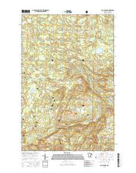 Doyle Lake Minnesota Current topographic map, 1:24000 scale, 7.5 X 7.5 Minute, Year 2016