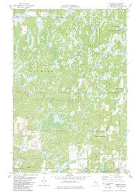 Duxbury Minnesota Historical topographic map, 1:24000 scale, 7.5 X 7.5 Minute, Year 1981