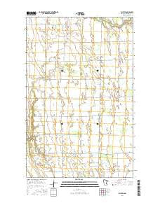 Ellerth Minnesota Current topographic map, 1:24000 scale, 7.5 X 7.5 Minute, Year 2016