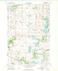 Erdahl Minnesota Historical topographic map, 1:24000 scale, 7.5 X 7.5 Minute, Year 1973
