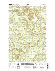 Ericsburg SE Minnesota Current topographic map, 1:24000 scale, 7.5 X 7.5 Minute, Year 2016