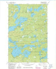 Farm Lake Minnesota Historical topographic map, 1:24000 scale, 7.5 X 7.5 Minute, Year 1981