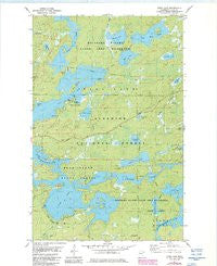 Farm Lake Minnesota Historical topographic map, 1:24000 scale, 7.5 X 7.5 Minute, Year 1981