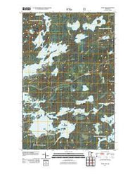 Farm Lake Minnesota Historical topographic map, 1:24000 scale, 7.5 X 7.5 Minute, Year 2011