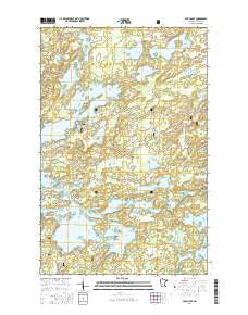 Farm Lake Minnesota Current topographic map, 1:24000 scale, 7.5 X 7.5 Minute, Year 2016