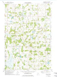 Flensburg Minnesota Historical topographic map, 1:24000 scale, 7.5 X 7.5 Minute, Year 1978
