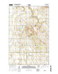 Flom Minnesota Current topographic map, 1:24000 scale, 7.5 X 7.5 Minute, Year 2016