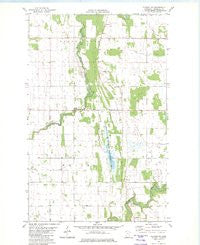 Florian NE Minnesota Historical topographic map, 1:24000 scale, 7.5 X 7.5 Minute, Year 1982