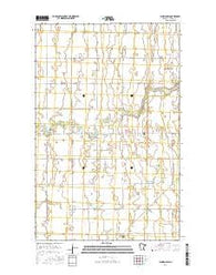 Florian SW Minnesota Current topographic map, 1:24000 scale, 7.5 X 7.5 Minute, Year 2016