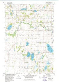 Forest City Minnesota Historical topographic map, 1:24000 scale, 7.5 X 7.5 Minute, Year 1982