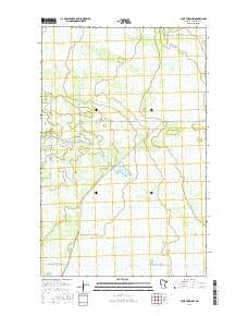 Four Town NW Minnesota Current topographic map, 1:24000 scale, 7.5 X 7.5 Minute, Year 2016