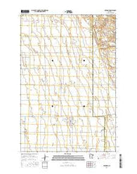 Foxhome Minnesota Current topographic map, 1:24000 scale, 7.5 X 7.5 Minute, Year 2016