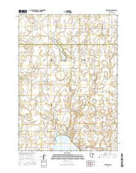 Freeborn Minnesota Current topographic map, 1:24000 scale, 7.5 X 7.5 Minute, Year 2016