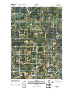 Freedhem Minnesota Historical topographic map, 1:24000 scale, 7.5 X 7.5 Minute, Year 2010