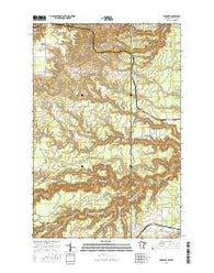 Frogner Minnesota Current topographic map, 1:24000 scale, 7.5 X 7.5 Minute, Year 2016