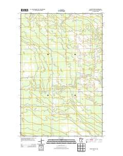 Graceton NW Minnesota Historical topographic map, 1:24000 scale, 7.5 X 7.5 Minute, Year 2013