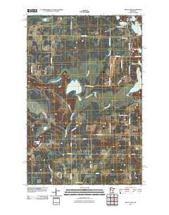 Grant Lake Minnesota Historical topographic map, 1:24000 scale, 7.5 X 7.5 Minute, Year 2010